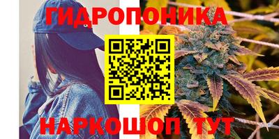 СК Апшеронск