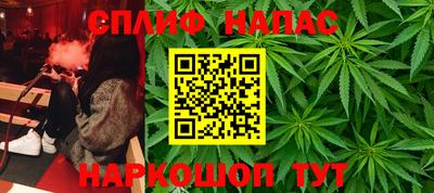 СК Апшеронск